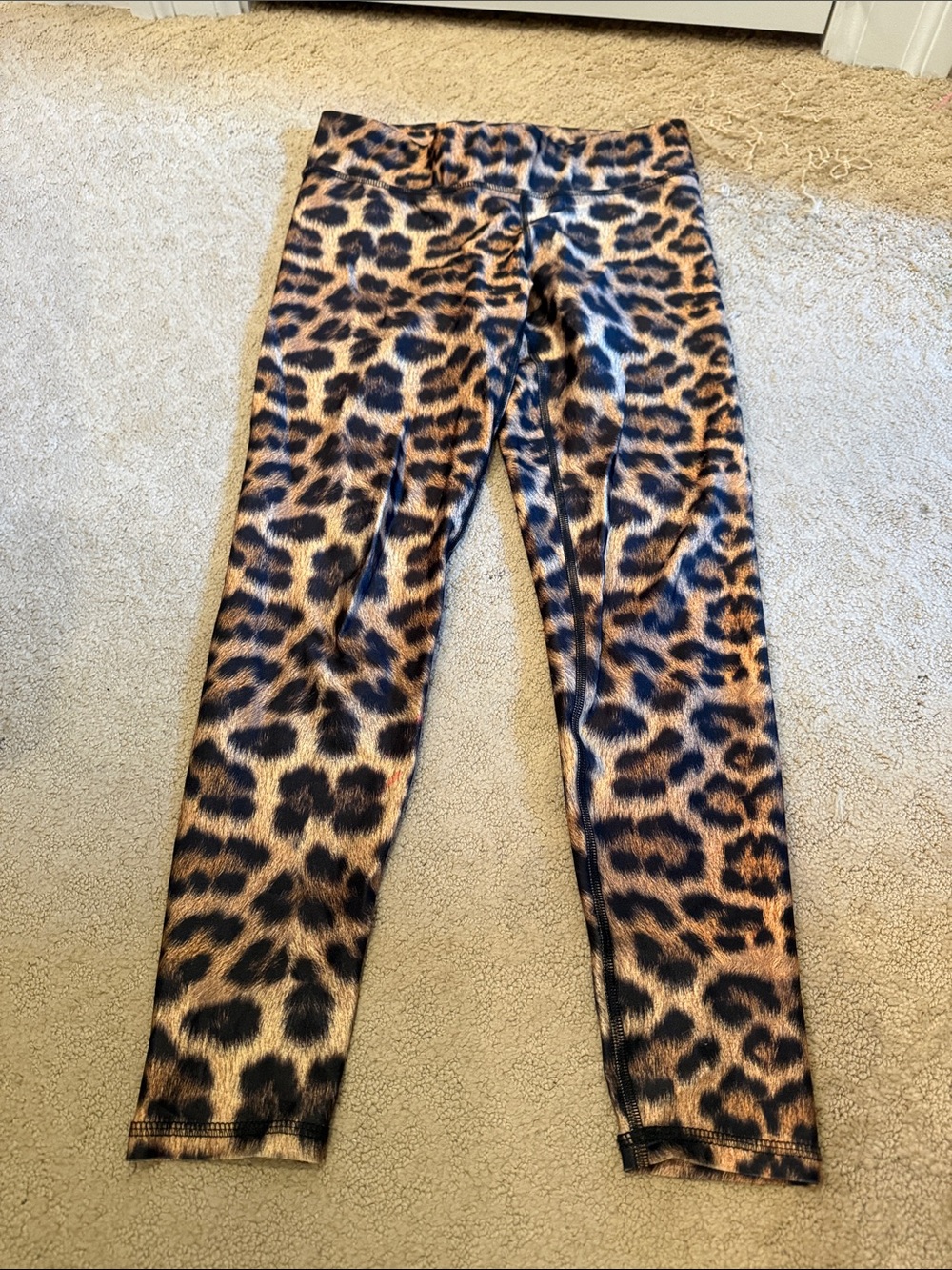 Terez Leopard Print Leggings in Brown and Black